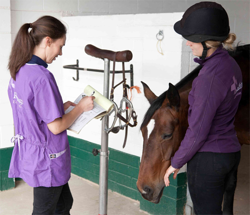 riding-equine