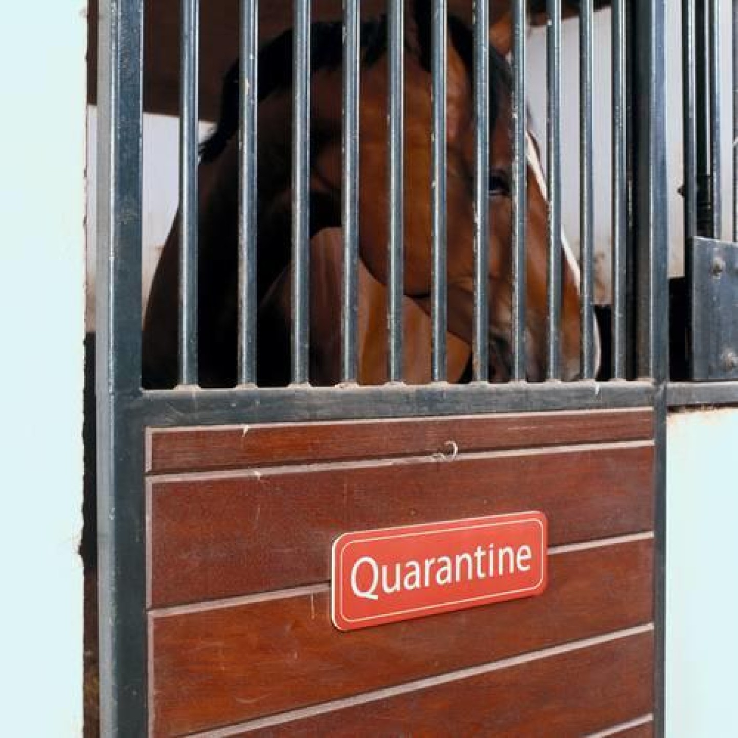 quarantine