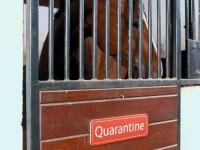 quarantine