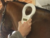 microchip