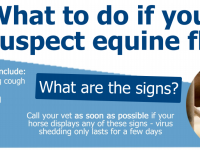 Equine Flu Poster