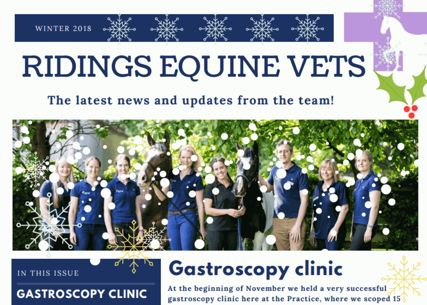 Winter Newsletter 2018