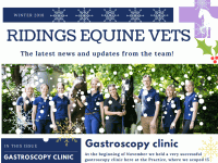 Winter Newsletter 2018