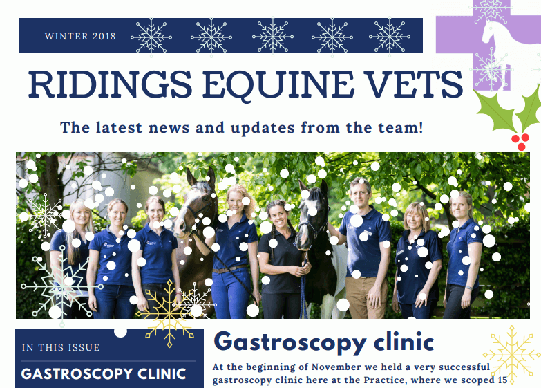 Winter Newsletter 2018