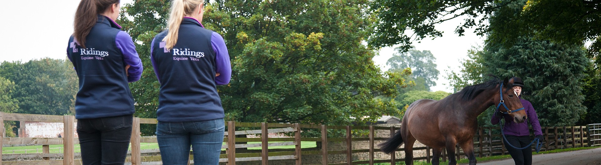 banner-9