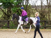 Equine Vets Ridings Vets Photo Shoot