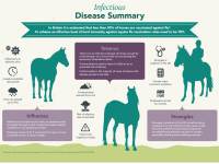 Summary of infectious diseases Infectious Diseases