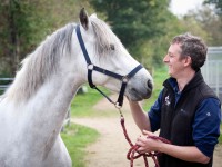 Ridings.Equine-038