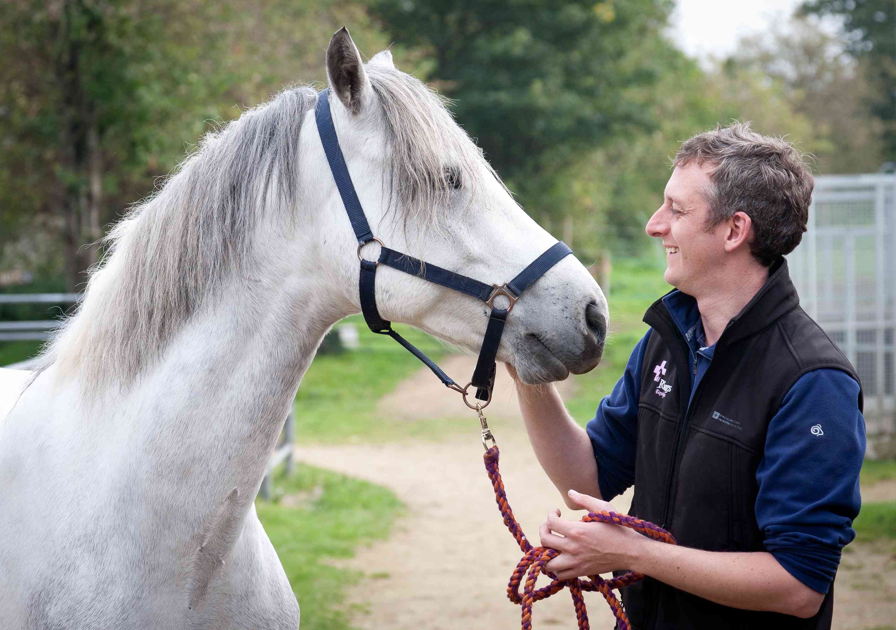 Ridings.Equine-038